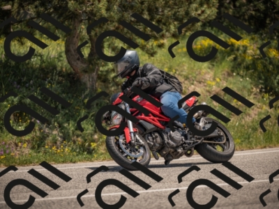 20250608125730-_Z620239_am_