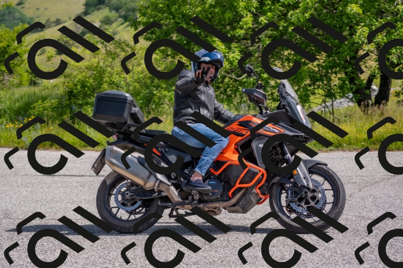 202506071030-DSC_9594_c4_