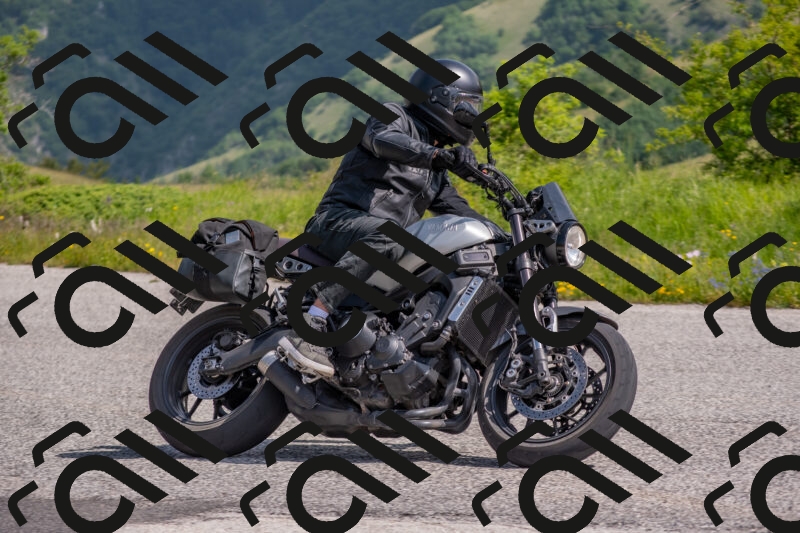 202506071031-DSC_9599_c4_