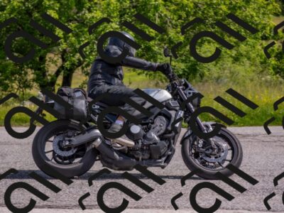 202506071031-DSC_9600_c4_