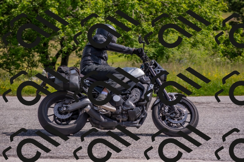 202506071031-DSC_9600_c4_