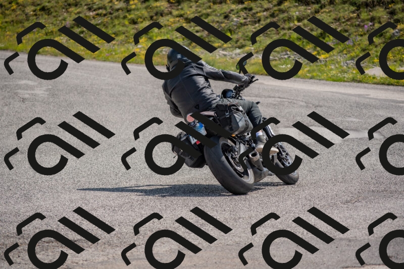 202506071031-DSC_9602_c4_