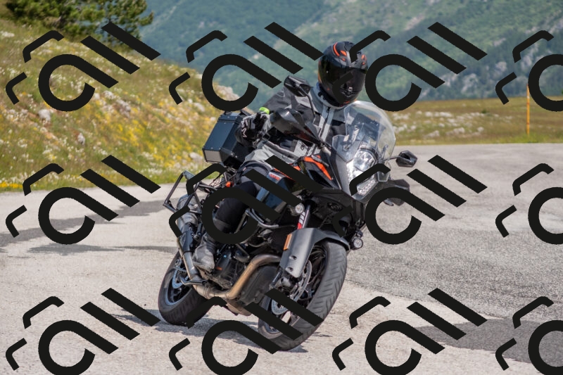 202506071032-DSC_9603_c4_