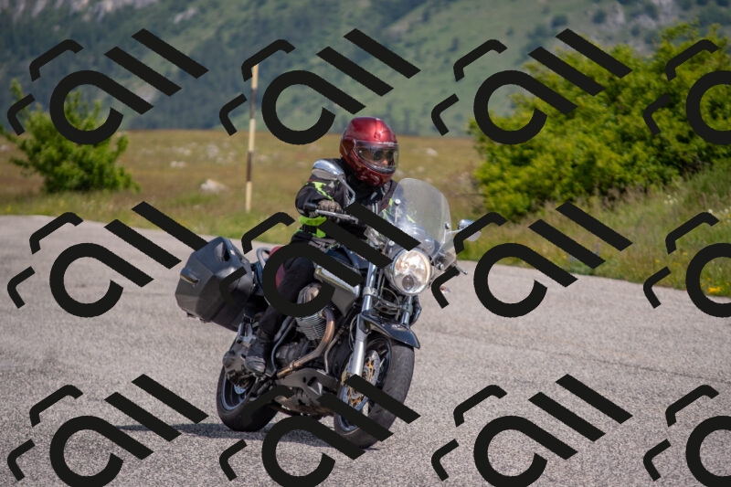 202506071043-DSC_9628_c4_