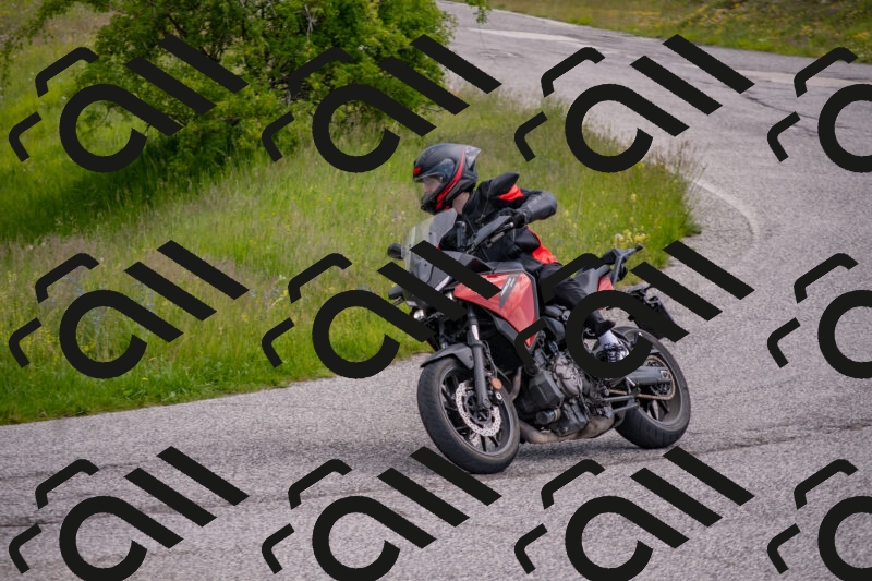 202506071047-DSC_9653_c4_