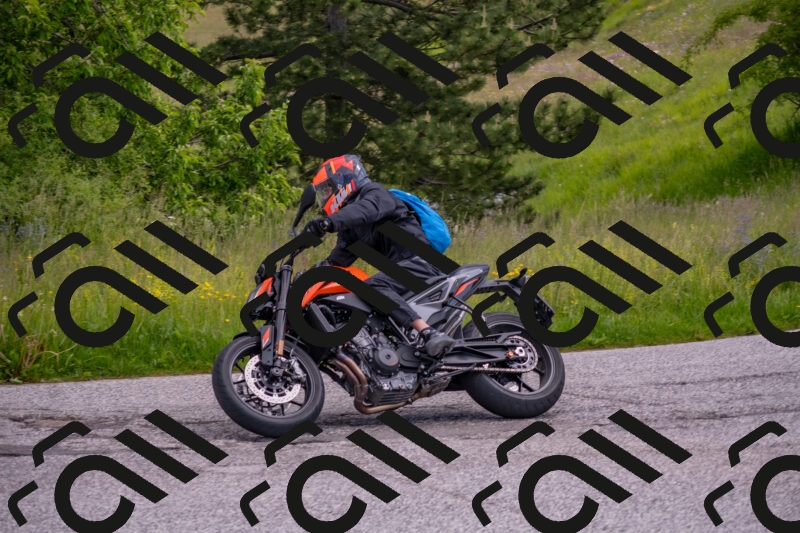 202506071047-DSC_9655_c4_