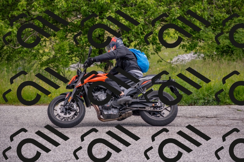 202506071047-DSC_9656_c4_