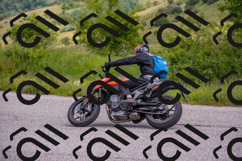 202506071047-DSC_9657_c4_