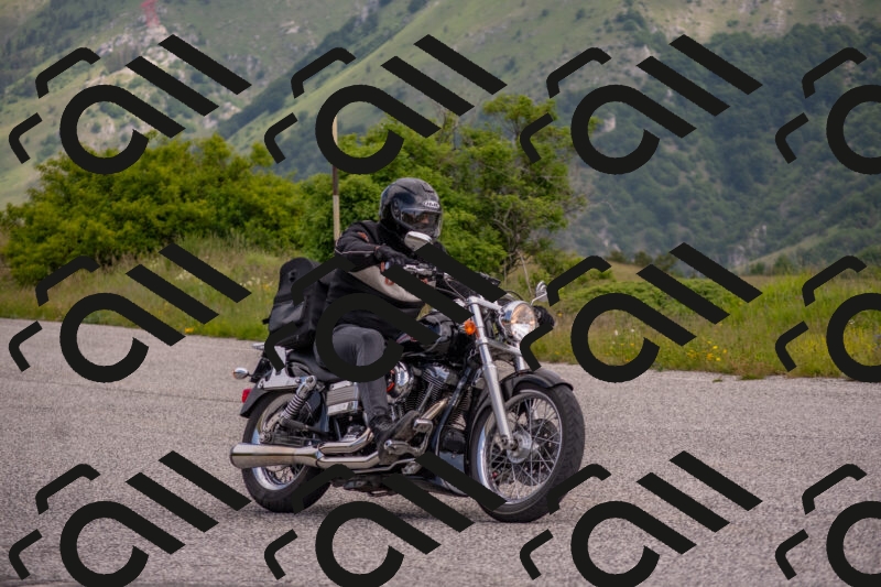 202506071050-DSC_9663_c4_