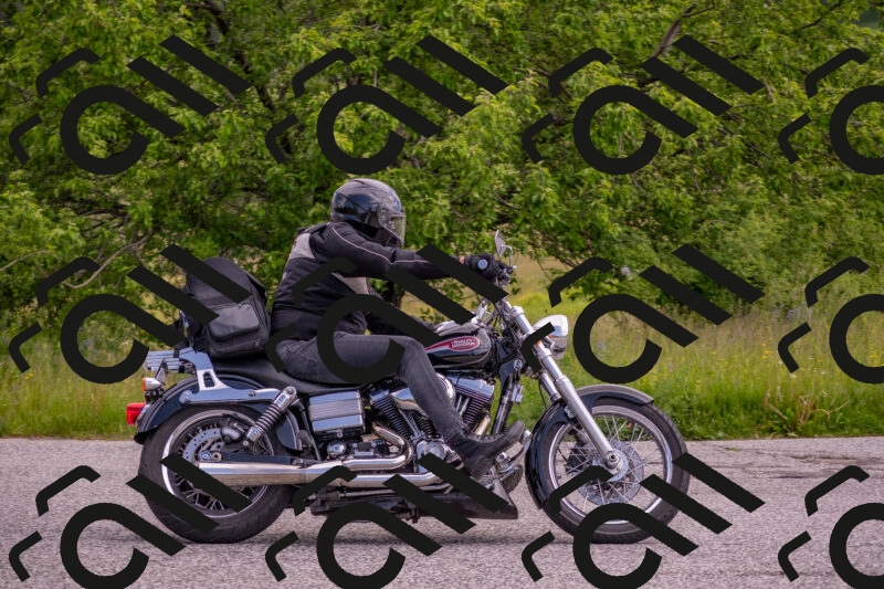 202506071050-DSC_9665_c4_