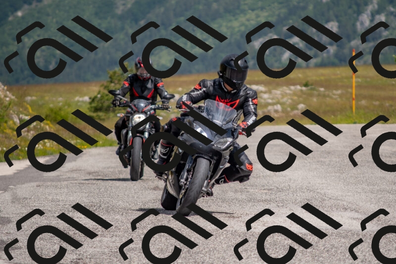 202506071054-DSC_9668_c4_