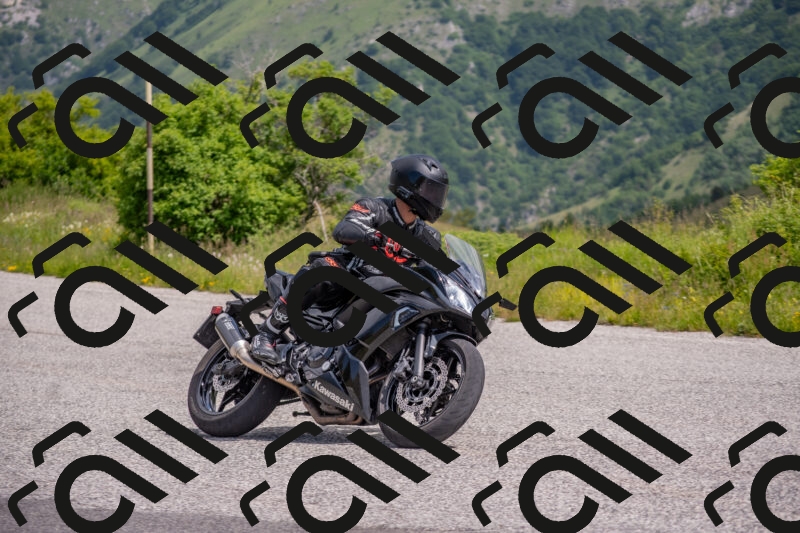 202506071054-DSC_9671_c4_