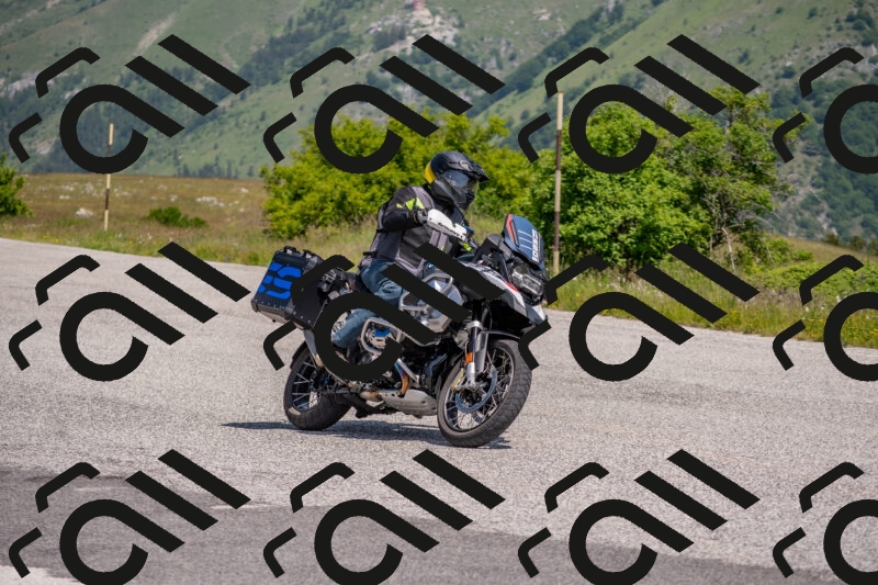 202506071131-DSC_9827_c4_