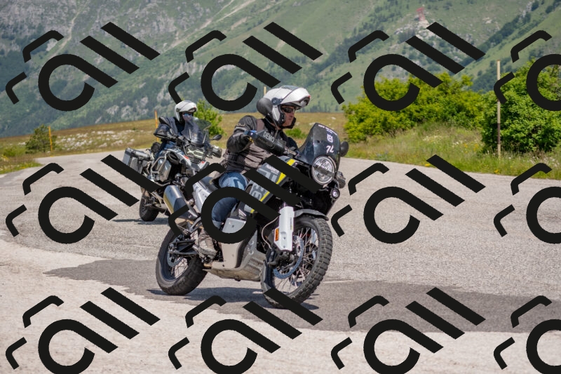 202506071131-DSC_9828_c4_