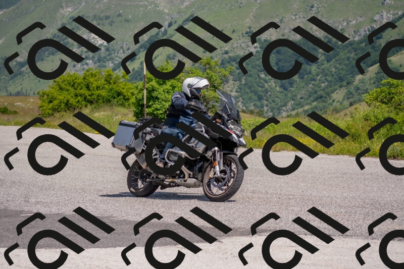 202506071131-DSC_9830_c4_