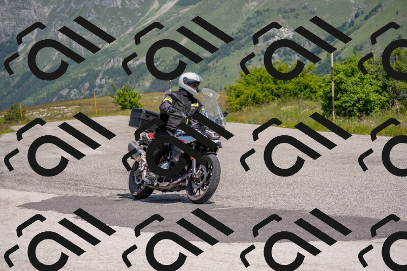 202506071131-DSC_9831_c4_