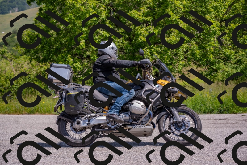 202506071132-DSC_9841_c4_