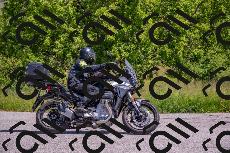 202506071137-DSC_9865_c4_