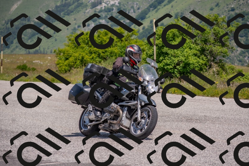 202506071137-DSC_9866_c4_