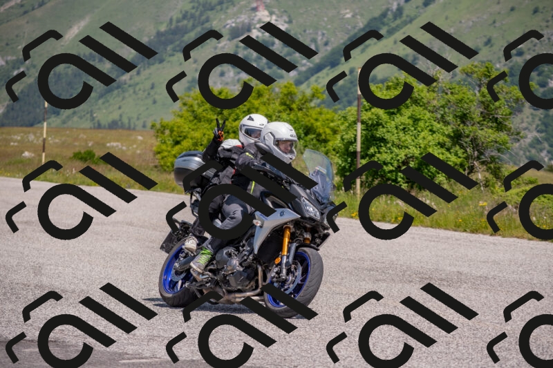 202506071137-DSC_9872_c4_