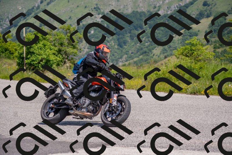 202506071137-DSC_9877_c4_