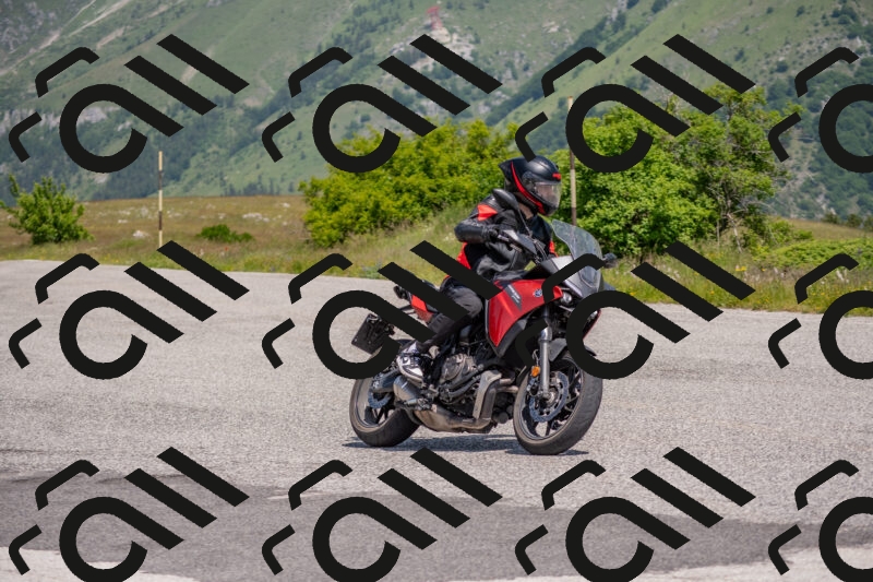 202506071137-DSC_9879_c4_