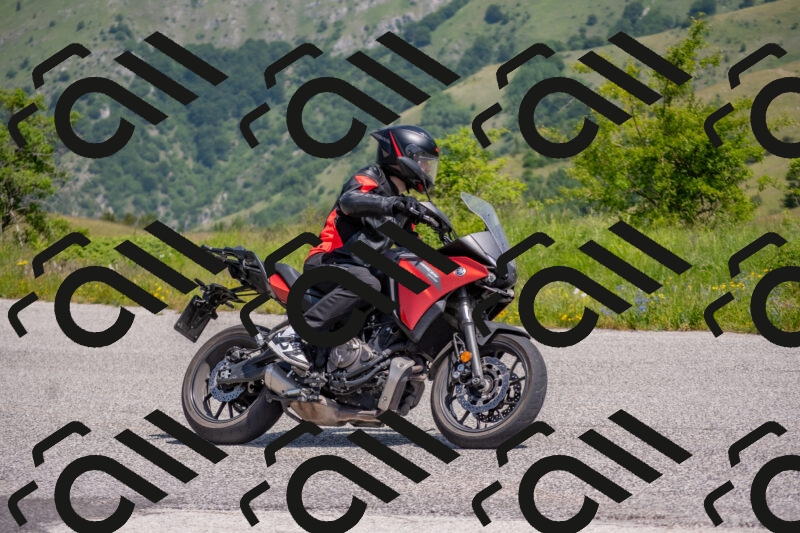 202506071137-DSC_9880_c4_