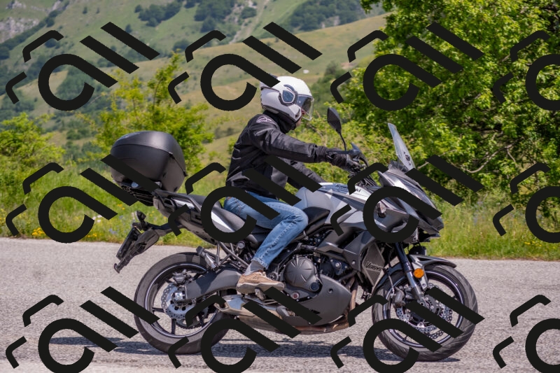 202506071137-DSC_9882_c4_