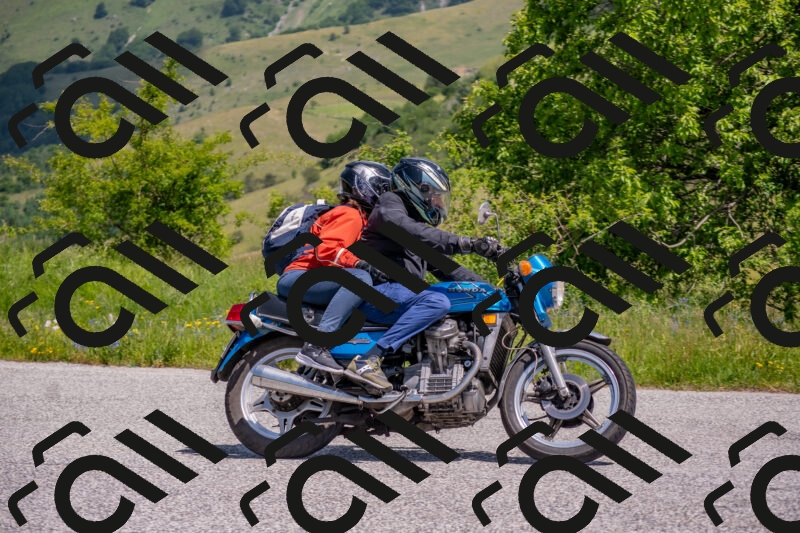 202506071139-DSC_9888_c4_