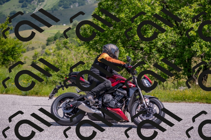 202506071139-DSC_9893_c4_