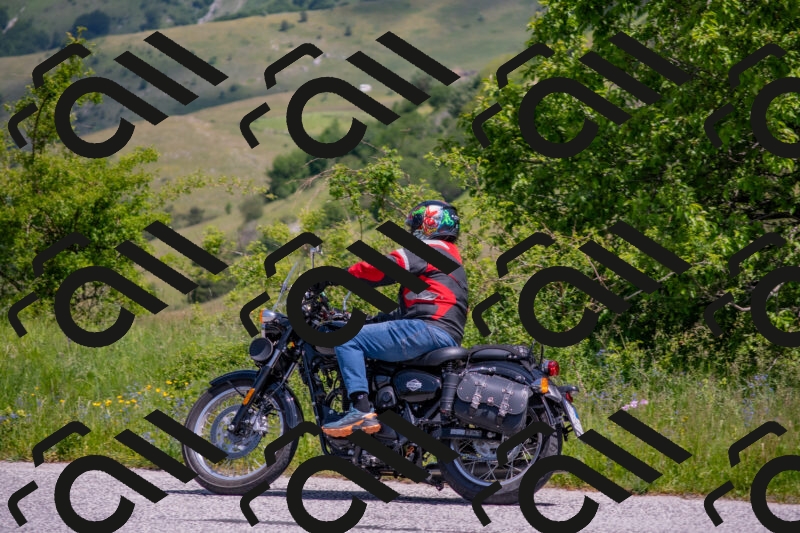 202506071140-DSC_9898_c4_