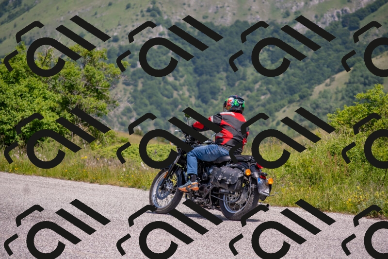 202506071140-DSC_9899_c4_