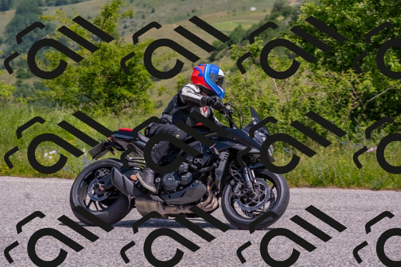 202506071141-DSC_9901_c4_