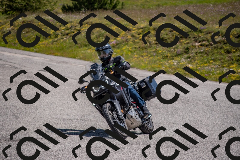 202506071141-DSC_9906_c4_