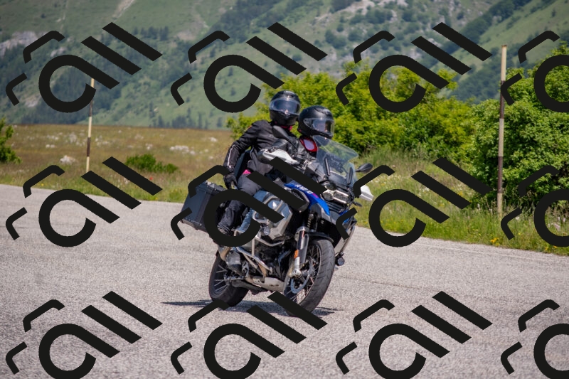 202506071142-DSC_9911_c4_