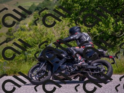 202506071144-DSC_9934_c4_