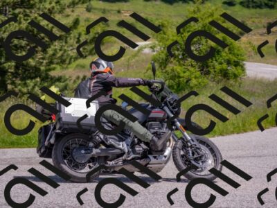 202506071242-DSC_0389_c4_