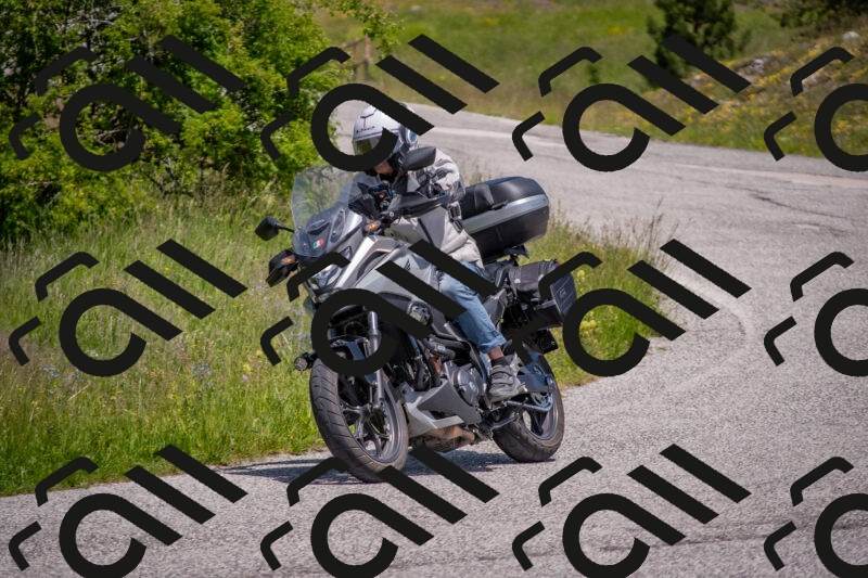 202506071300-DSC_0546_c4_