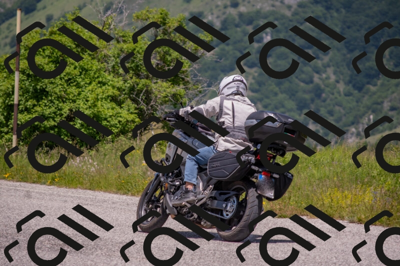 202506071300-DSC_0550_c4_