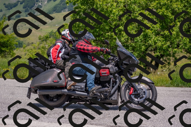 202506071302-DSC_0562_c4_