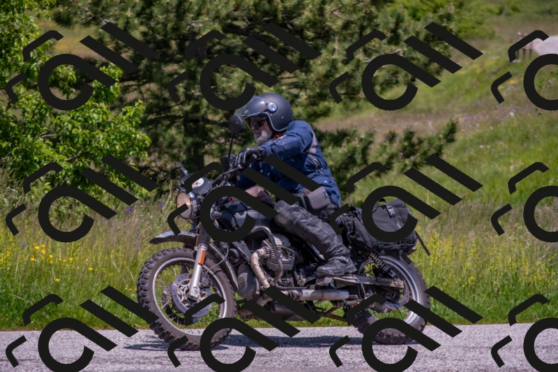 202506071304-DSC_0565_c4_