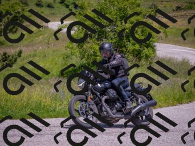 202506071305-DSC_0574_c4_