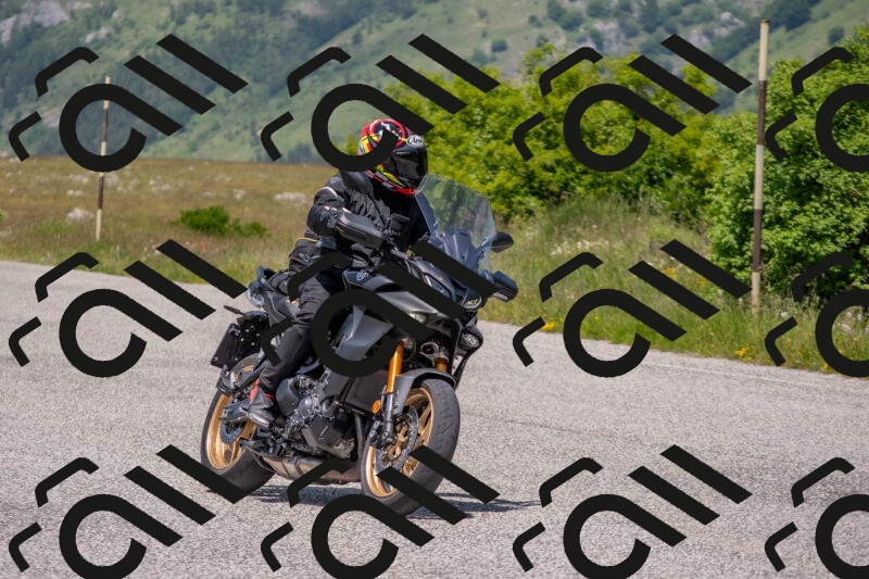 202506071306-DSC_0581_c4_