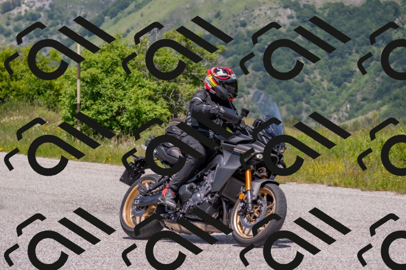 202506071306-DSC_0582_c4_