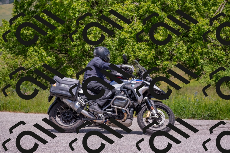 202506071307-DSC_0586_c4_