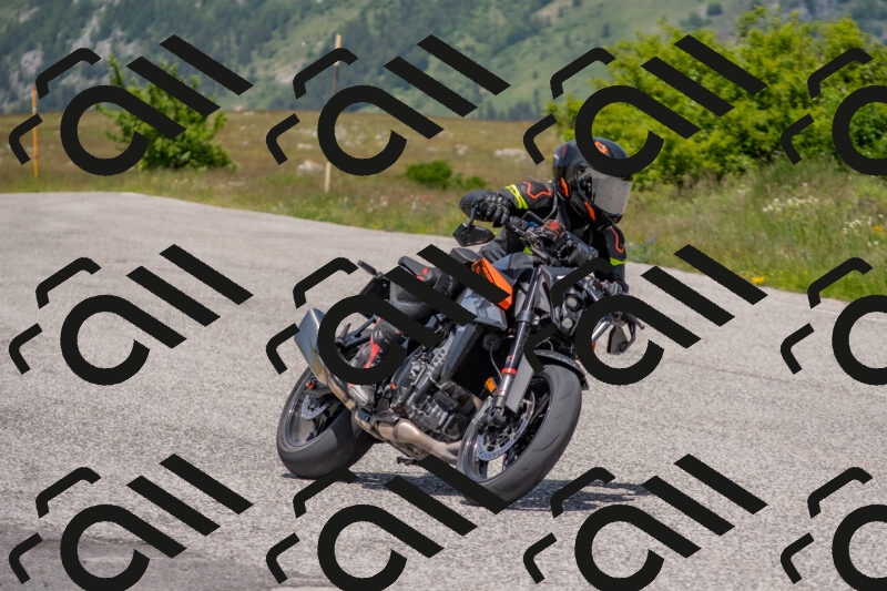 202506071307-DSC_0588_c4_