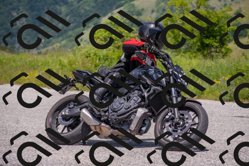 202506071307-DSC_0594_c4_