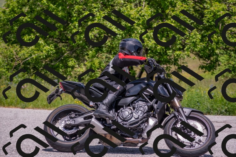 202506071307-DSC_0595_c4_