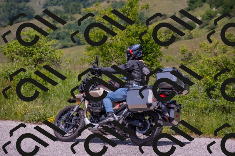 202506071309-DSC_0628_c4_