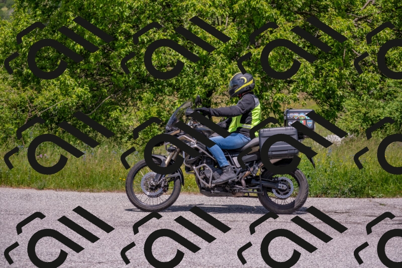 202506071316-DSC_0649_c4_